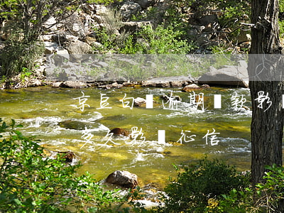 京豆白條逾期還款影響征信嗎(京東白條逾期多久影響征信)
