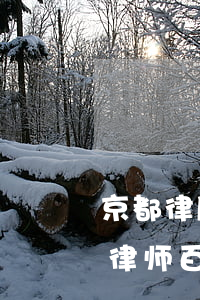 京都律所律师数中国律所排名榜单(北京京都律师百度百科)