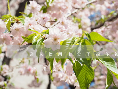 亲人信用卡欠了很多钱(家人欠的信用卡,子女承担么)