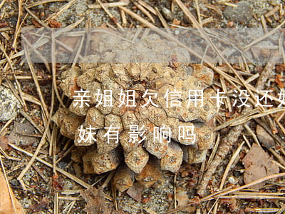 亲姐姐欠信用卡没还(姐姐借信用卡未还对妹妹有影响吗)