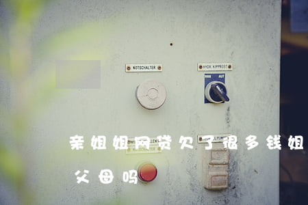 亲姐姐网贷欠了很多钱(姐姐欠了网贷会连累父母吗)