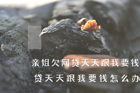 亲姐欠网贷天天跟我要钱怎么办-亲姐欠网贷天天跟我要钱怎么办呢