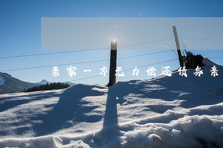 亲家一方无力偿还债务(亲属债务)