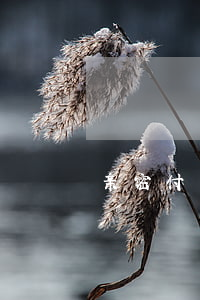 亲密付可以分期免息吗(亲密付能分期吗)