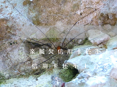 亲属欠信用卡还不上会影响政审吗-亲属欠信用卡还不上会影响政审吗知乎