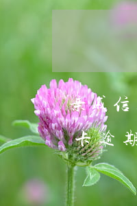 亲戚信用卡逾期我是紧急联络人-亲戚信用卡逾期我是紧急联络人怎么办