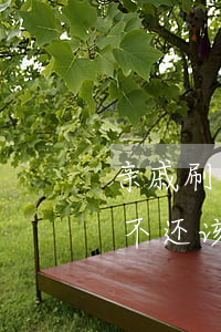 亲戚刷我信用卡不还该要吗(亲戚刷我信用卡不还该要吗)