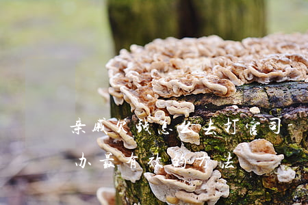 亲戚欠钱怎么去打官司-亲戚欠钱不还怎么办最有效的方法?