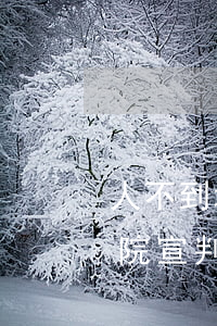 人不到場(chǎng)法院可以宣判嗎(法院宣判當(dāng)事人不在場(chǎng)能判嗎)