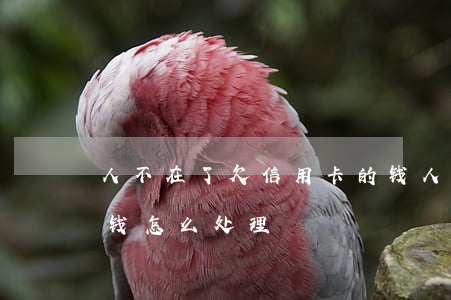 人不在了欠信用卡的钱(人不在了欠信用卡的钱怎么处理)