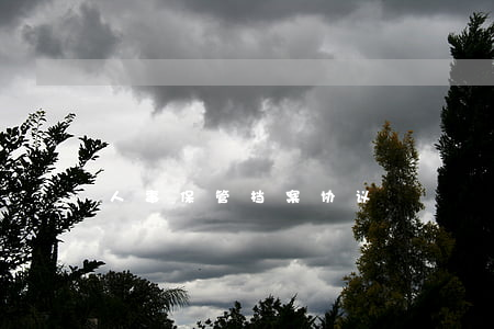 人事保管档案协议
