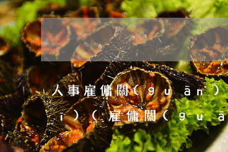 人事雇傭關(guān)系法律法規(guī)(雇傭關(guān)系的法律規(guī)定有是哪些)