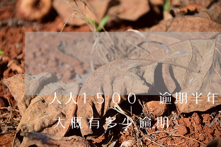 人人1500貸逾期半年上征信嗎-人人貸大概有多少逾期