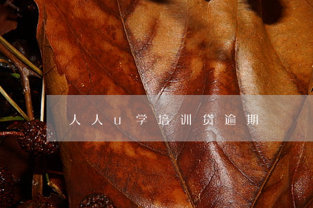 人人u学培训贷逾期
