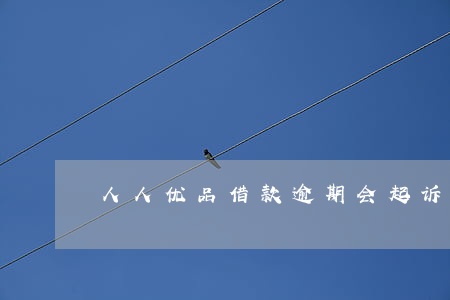 人人优品借款逾期会起诉吗-人人贷款逾期