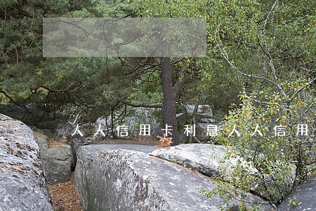 人人信用卡利息 人人信用卡利息