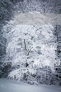 人人信用發(fā)信息信用卡逾期(人人信用會發(fā)短信嗎)