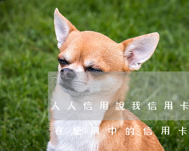 人人信用說我信用卡逾期(人人貸逾期會影響在使用中的信用卡嗎)
