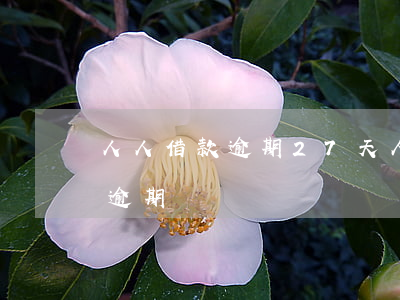 人人借款逾期27天(人人貸逾期一天110逾期費)
