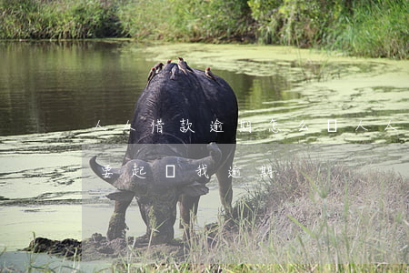 人人借款逾期怎么樣(人人貸說(shuō)要起訴我逾期)