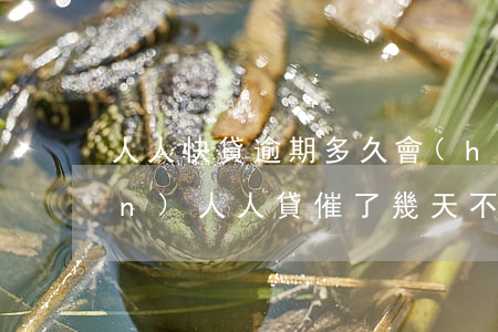 人人快貸逾期多久會(huì)上門(mén)(人人貸催了幾天不催了)