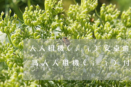人人租機(jī)安卓逾期會鎖機(jī)嗎(人人租機(jī)付了押金能過嗎)