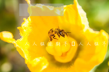 人人租逾期不還(人人租不發(fā)貨)