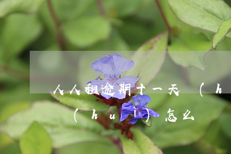 人人租逾期十一天會(huì)(人人租逾期會(huì)怎么樣)