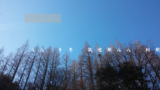 人人貸3年還款逾期(人人貸到期了)
