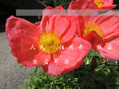 人人貸信用卡還款后額度怎么辦-人人貸還款后可用額度會(huì)恢復(fù)嗎