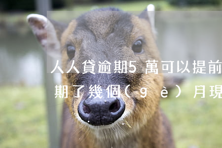 人人貸逾期5萬可以提前還款嗎-人人貸逾期了幾個(gè)月,現(xiàn)在可不可以還本金