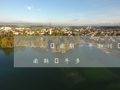 人人貸逾期一年如何協(xié)商(人人貸逾期兩年多)