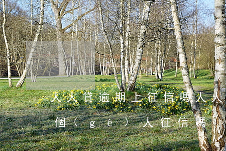 人人貸逾期上征信嗎 人人貸會(huì)上個(gè)人征信嗎