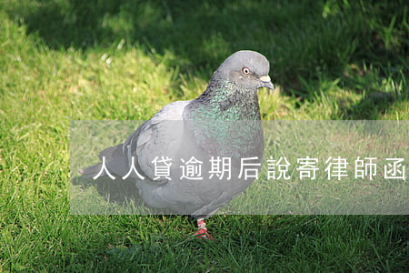 人人貸逾期后說寄律師函(人人貸欠款逾期)