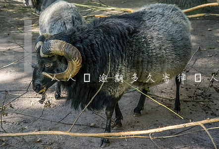人人貸逾期多久寄律師(人人貸逾期了咋辦)