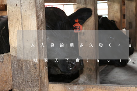 人人貸逾期多久發(fā)律師函(人人貸逾期兩天了會(huì)不會(huì)聯(lián)系人)