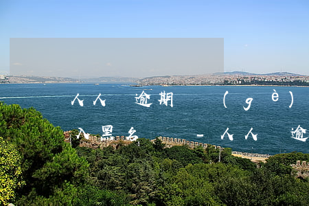 人人貸逾期幾個(gè)月就進(jìn)入黑名單嗎-人人貸逾期了幾個(gè)月,現(xiàn)在可不可以還本金