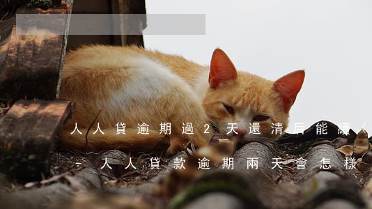 人人貸逾期過2天還清后能續(xù)借嗎-人人貸款逾期兩天會怎樣