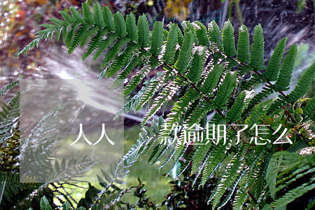 人人貸還款逾期了怎么辦(人人貸逾期了咋辦)