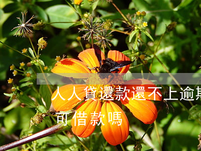人人貸還款還不上逾期(人人貸借款還清后還可借款嗎)