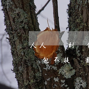 人人貸錢到錢包沒提現要還款嗎-人人貸到錢包不提現要還款嗎