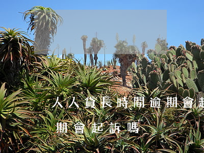 人人貸長時間逾期會起訴嗎（人人貸長時間逾期會起訴嗎）