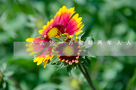 人人贷一万逾期两年(人人贷逾期了200多天了)