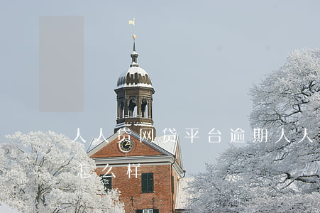 人人贷网贷平台逾期(人人贷款逾期一个月会怎么样)