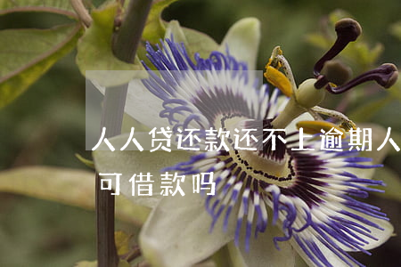 人人贷还款还不上逾期(人人贷借款还清后还可借款吗)