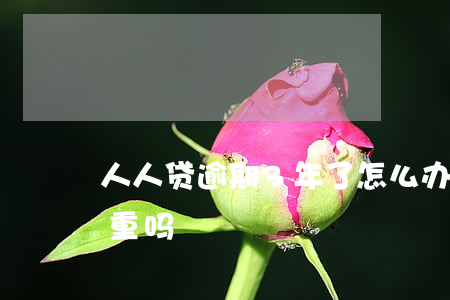 人人贷逾期3年了怎么办(人人贷逾期一天严重吗)