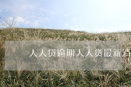 人人贷 逾期（人人贷最新消息逾期）