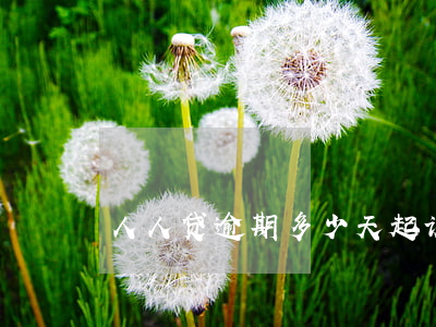 人人贷逾期多少天起诉