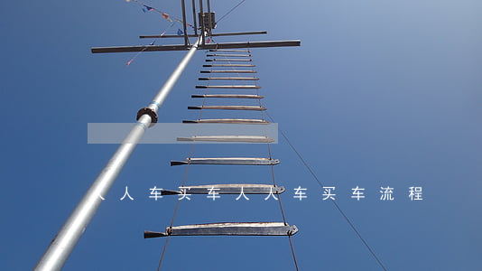 人人车买车(人人车买车流程)