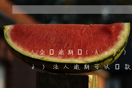 人企貸逾期會(huì)被起訴嗎(企業(yè)法人逾期可以貸款嗎)